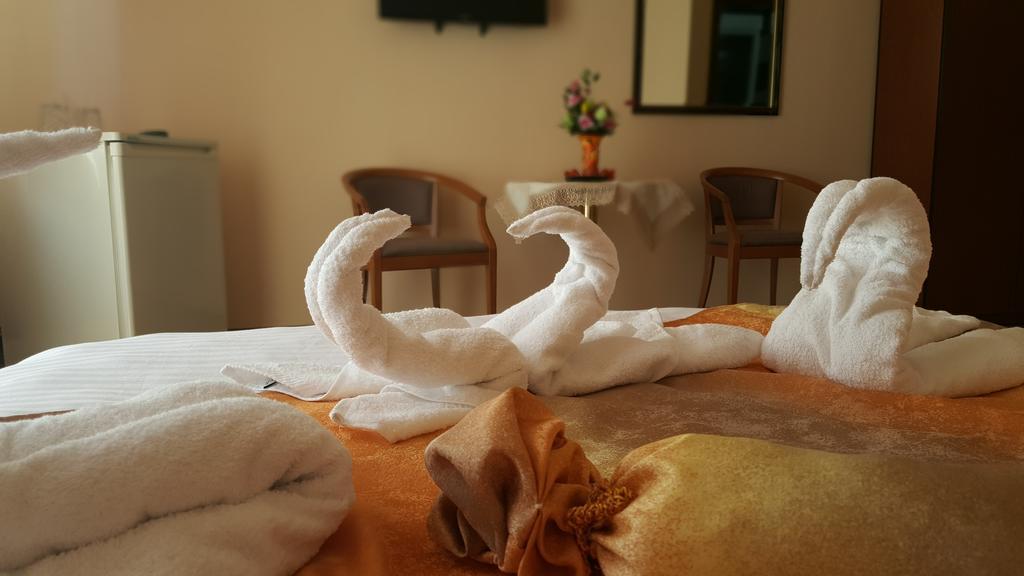 Hotel Casa Alex Târgu Jiu Pokój zdjęcie